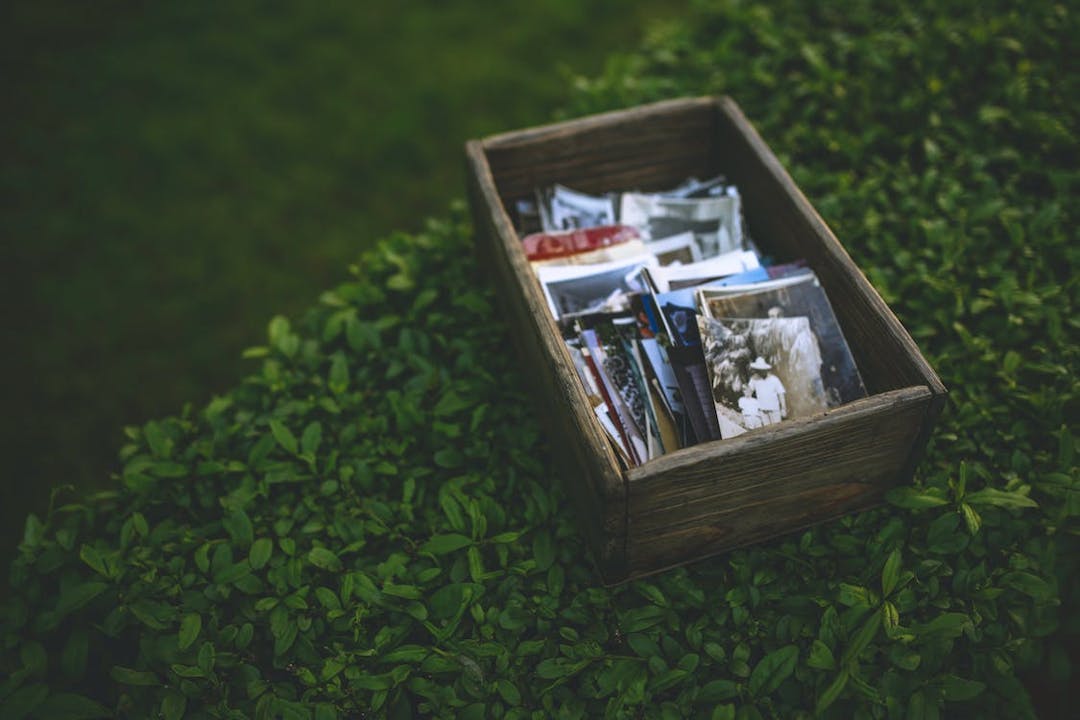 A memory box full of pictures placed on top of the bush